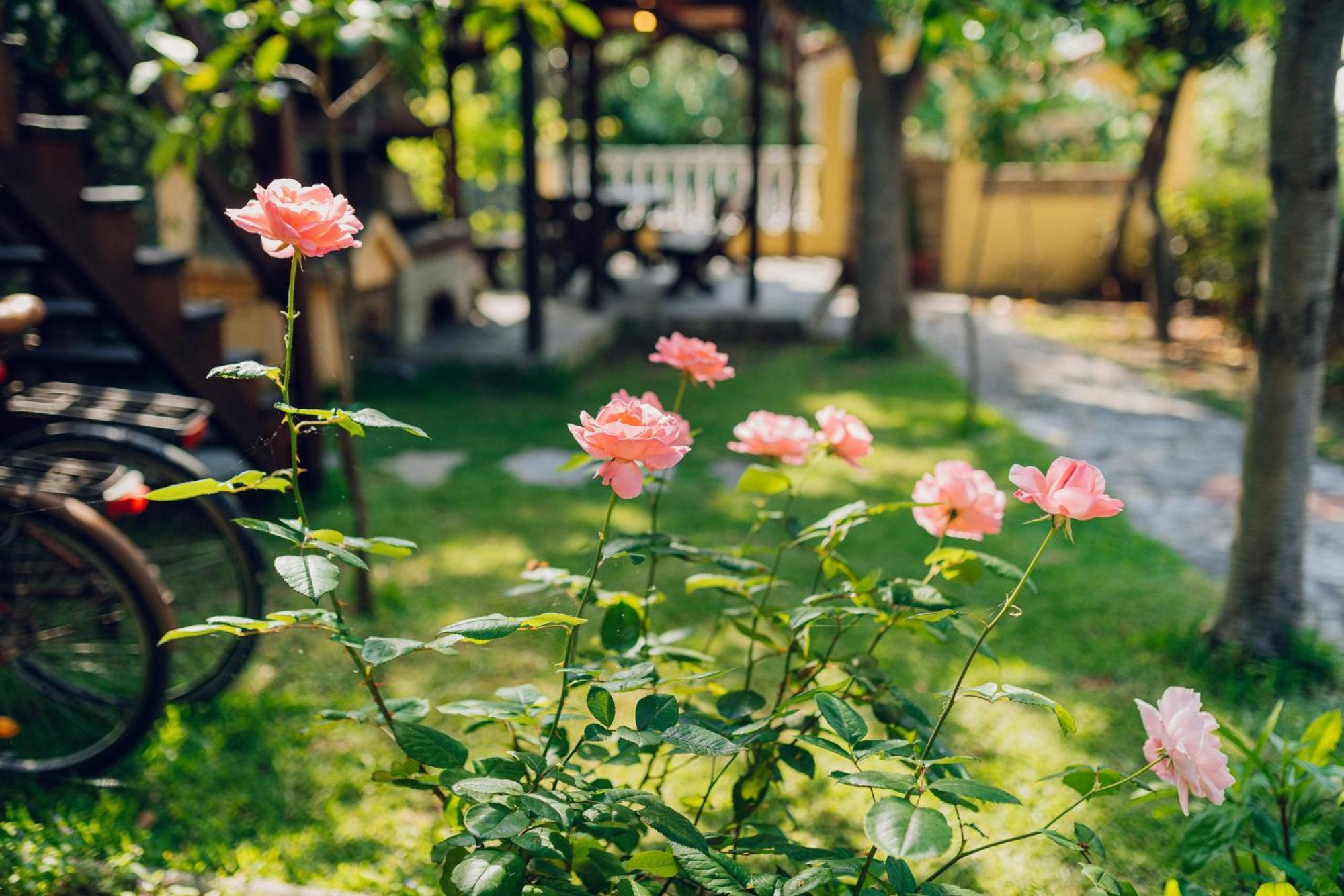 Villa Yianna Néa Meságkala Exteriér fotografie