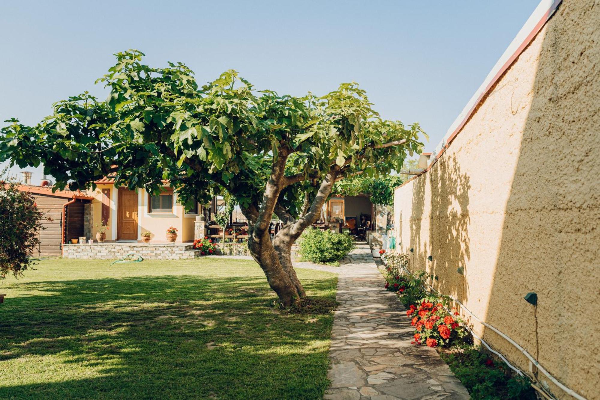 Villa Yianna Néa Meságkala Exteriér fotografie